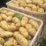 荷兰十五土豆日照土豆基地品质好货源足代收代发全国