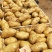 荷兰十五土豆日照土豆基地品质好货源足代收代发全国