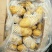 荷兰十五土豆日照土豆基地品质好货源足代收代发全国
