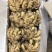 小黄姜窖藏精品小黄姜规格齐全电商超市市场供货基地