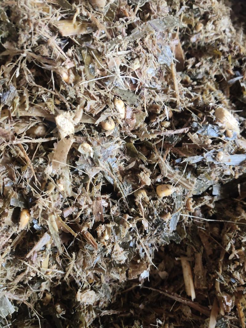 牛，羊，青储饲料