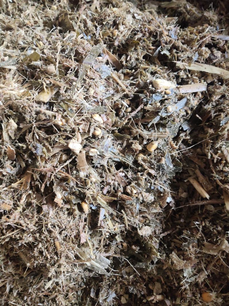 牛，羊，青储饲料