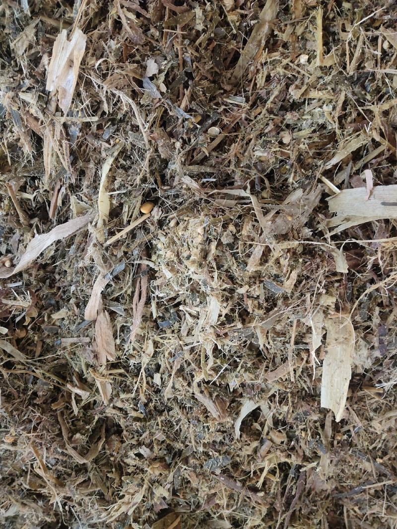 牛，羊，青储饲料
