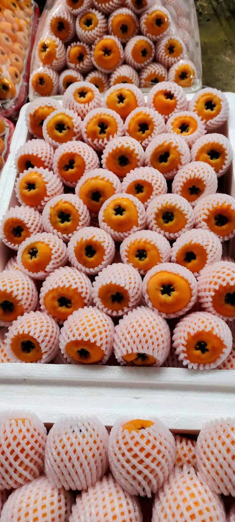 枇杷