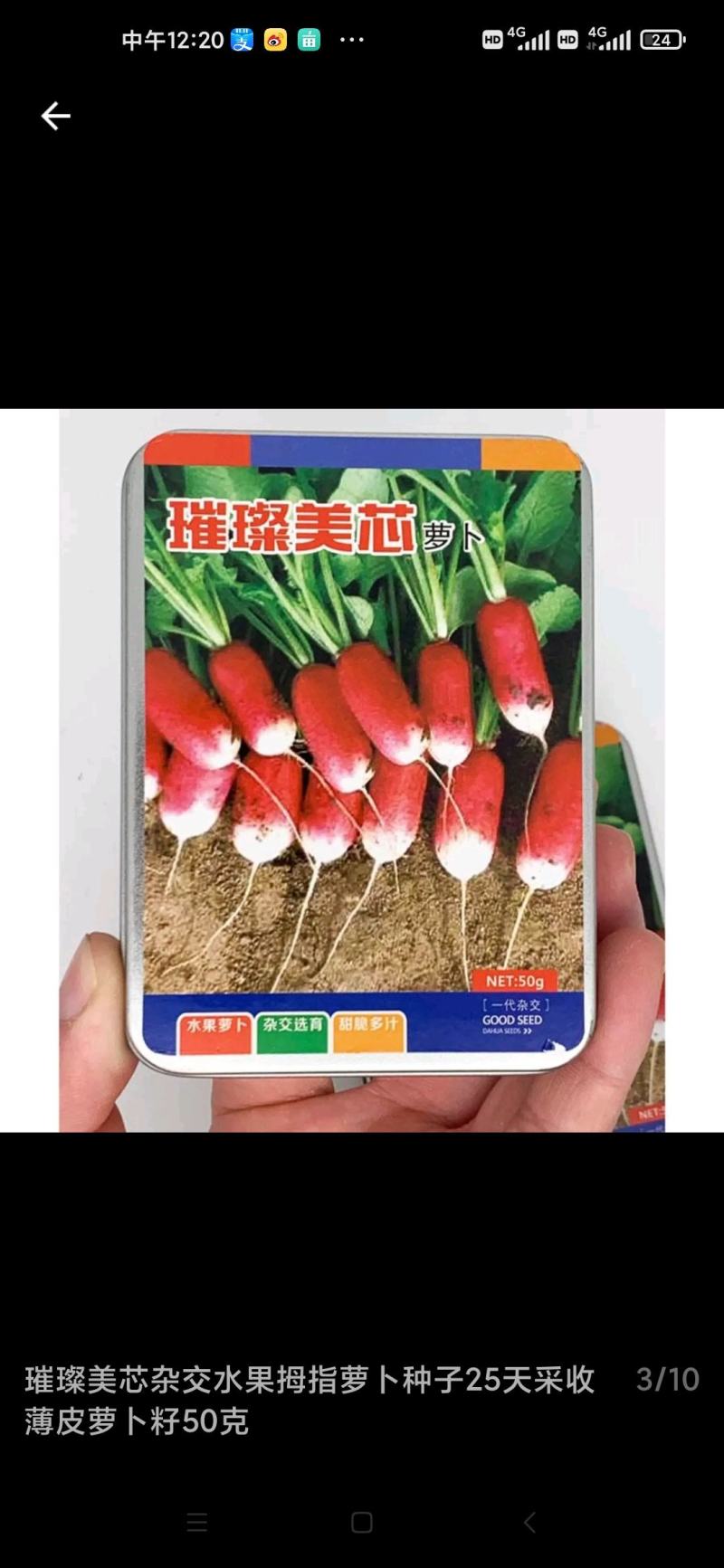 水果萝卜种子杂交选育甜脆多汁璀璨美芯，50克