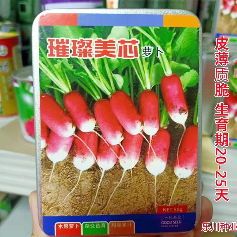 水果萝卜种子杂交选育甜脆多汁璀璨美芯，50克