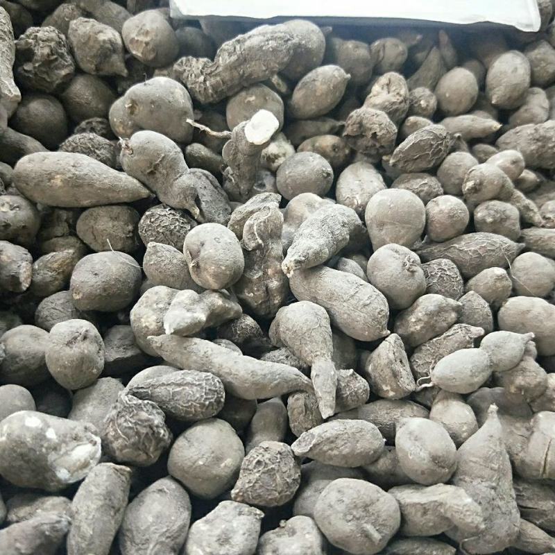 三叶青三叶青个三叶青片不满意可退换货
