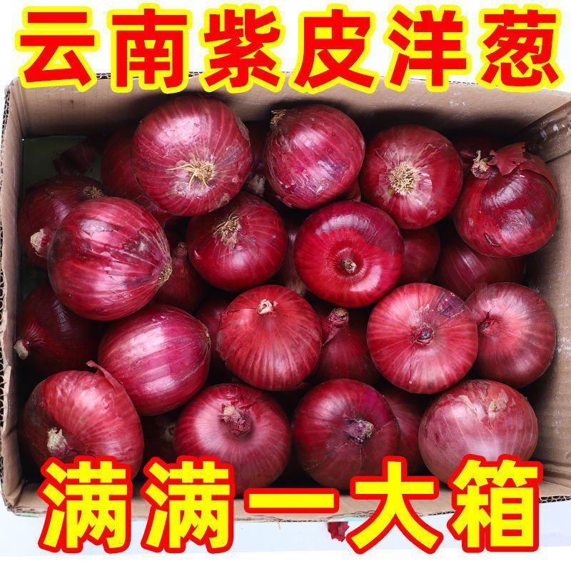 云南正宗紫皮小洋葱当季现挖批发甜辣3斤/5斤/10斤包邮