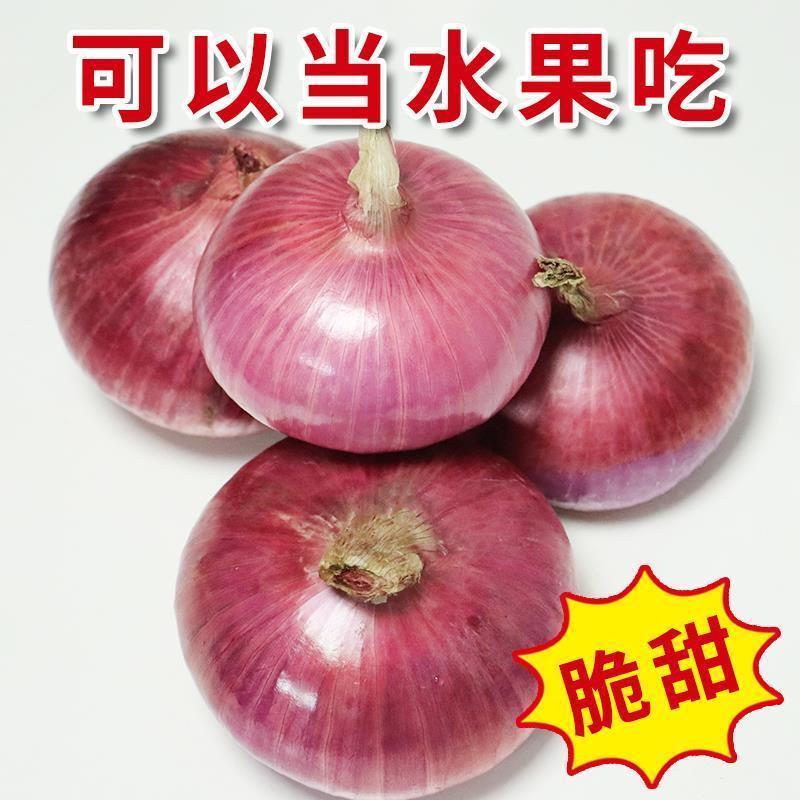 云南正宗紫皮小洋葱当季现挖批发甜辣3斤/5斤/10斤包邮