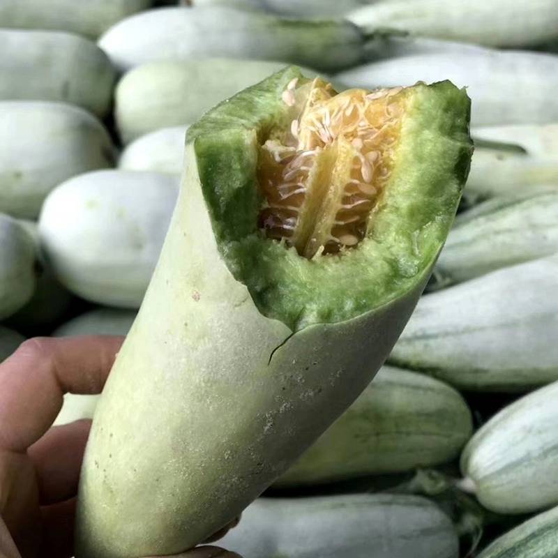 茂华羊角蜜甜瓜种子酥脆香甜羊角蜜甜瓜羊角酥羊角脆水果