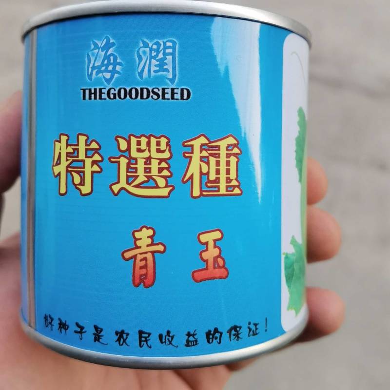 台湾青玉甜瓜种子高纯青玉种薄皮超甜抗病日本甜宝香瓜种子