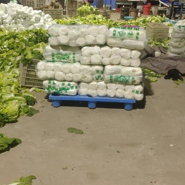 精品大小娃，