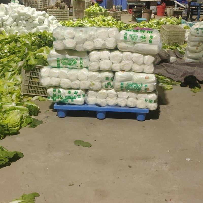 精品大小娃，