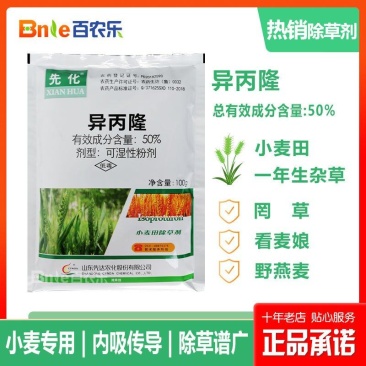 50%异丙隆野马唐看麦娘早熟禾菵草禾本科杂草小麦苗后除草