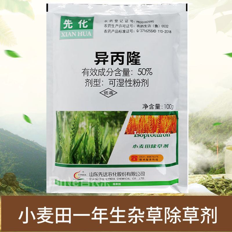 50%异丙隆野马唐看麦娘早熟禾菵草禾本科杂草小麦苗后除草