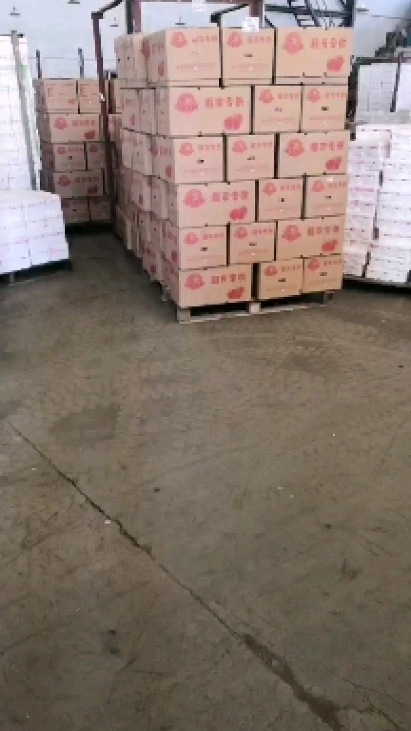 烟台栖霞苹果，需要的朋友联系