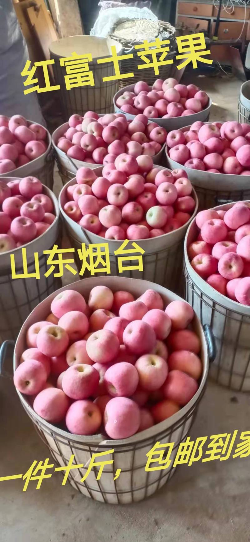 烟台栖霞苹果，需要的朋友联系