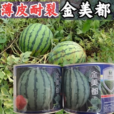 金美都西瓜种子薄皮耐裂超甜圆瓜8424中早熟京欣麒麟
