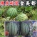 金美都西瓜种子薄皮耐裂超甜圆瓜8424中早熟京欣麒麟