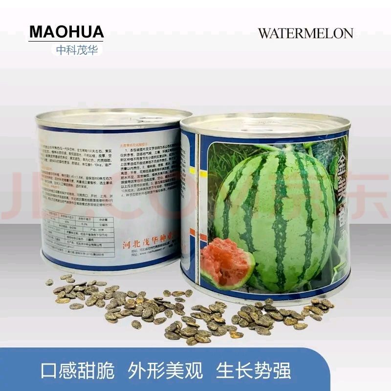 金美都西瓜种子薄皮耐裂超甜圆瓜8424中早熟京欣麒麟