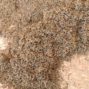 红茶