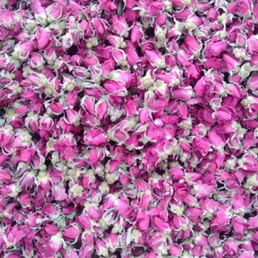 玫瑰花