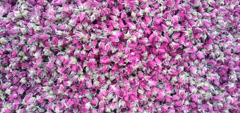玫瑰花