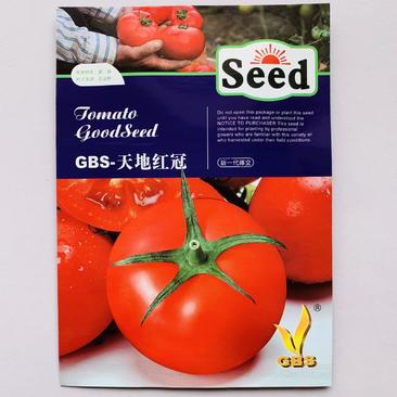 天地红冠西红柿种子品种早熟杂交一代品种种子