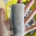 精品刀鱼段