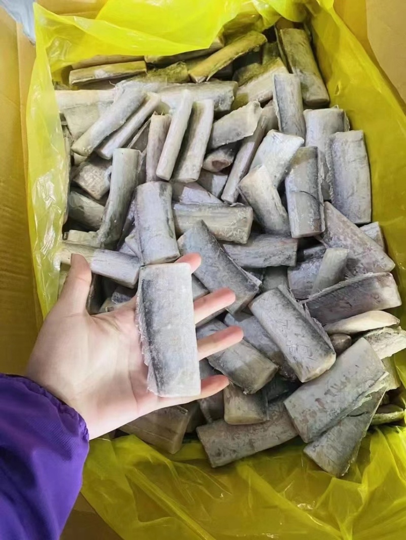 精品刀鱼段
