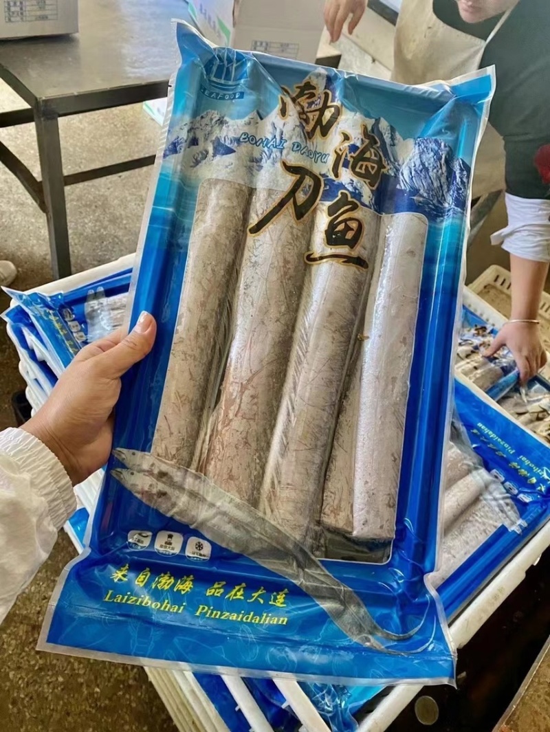 精品渤海湾大刀鱼段