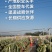 红心火龙果广西规格果供应实力代办全国整车代发