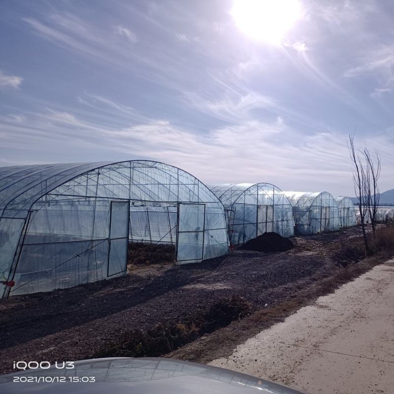 蔬菜大棚圆管骨架定做厂家生产规格齐全支持定制