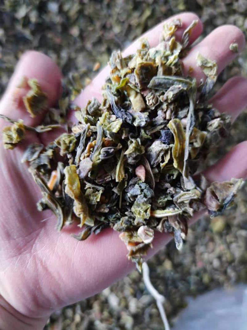 豆角豆江苏豆角切断一级