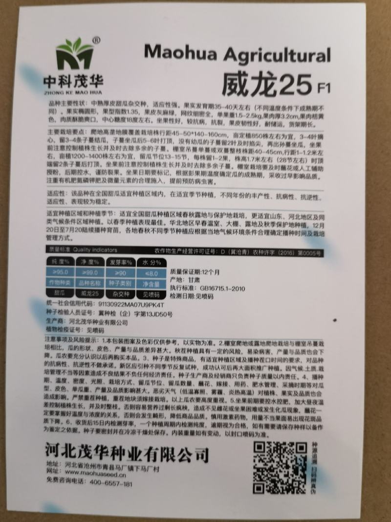 威龙25号哈密瓜种子网纹细密果肉橘黄酥脆爽口