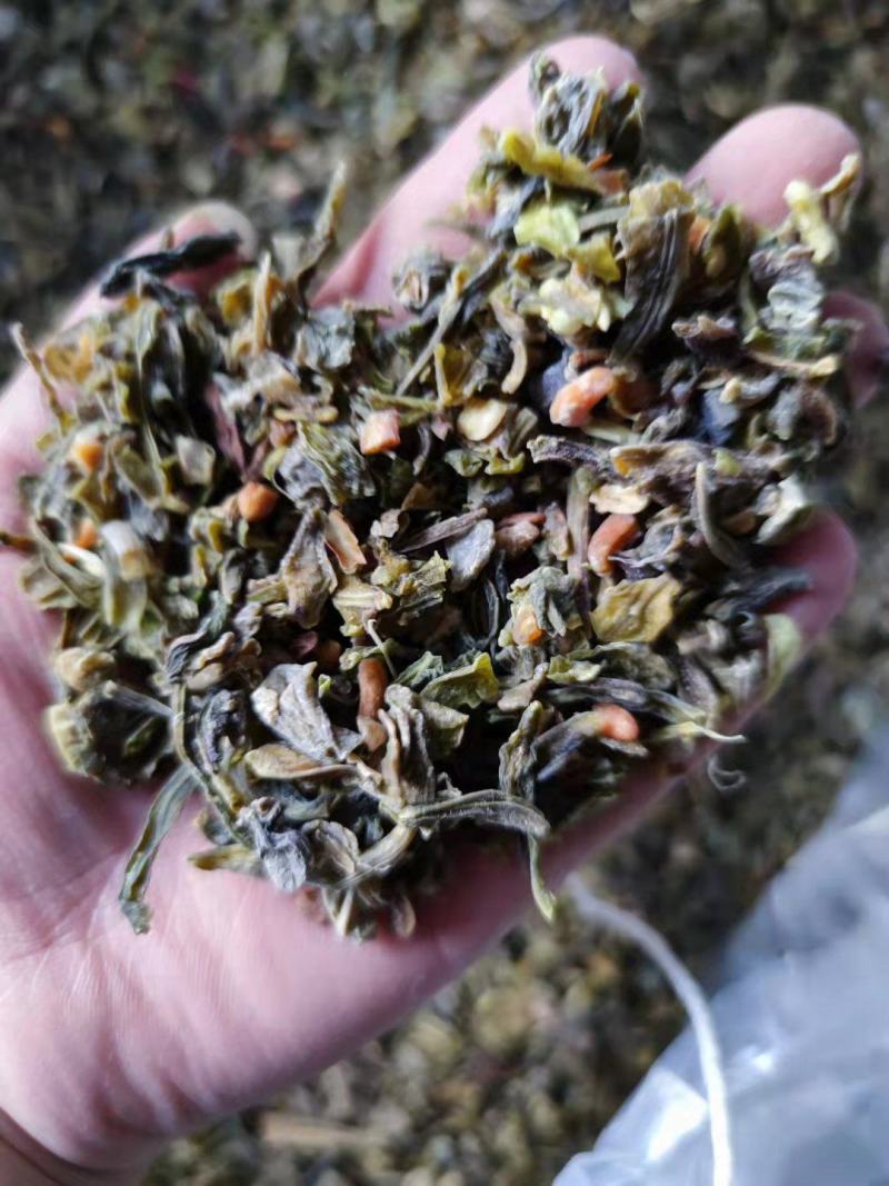 豆角豆江苏豆角切断一级