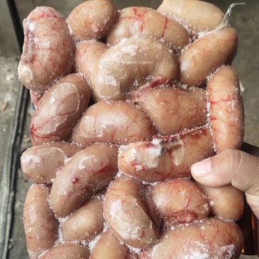 鸡腰
