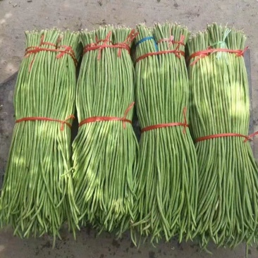 精品长豆角，颜色鲜艳，