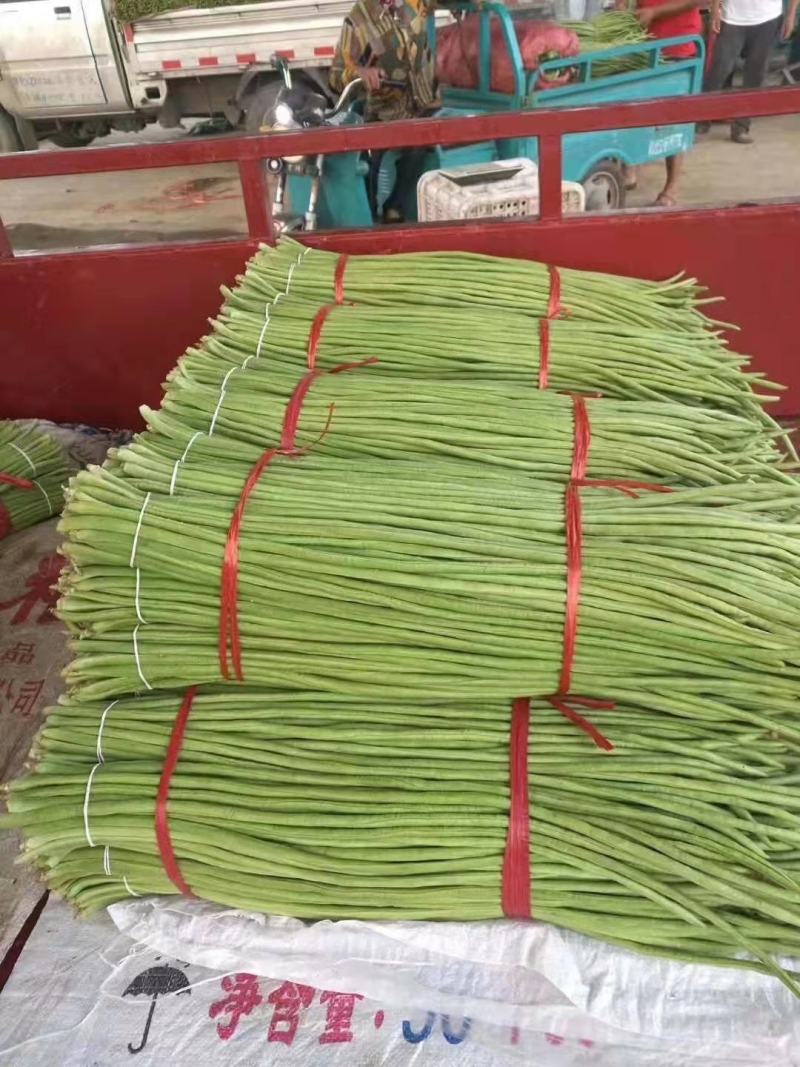 精品长豆角，颜色鲜艳，