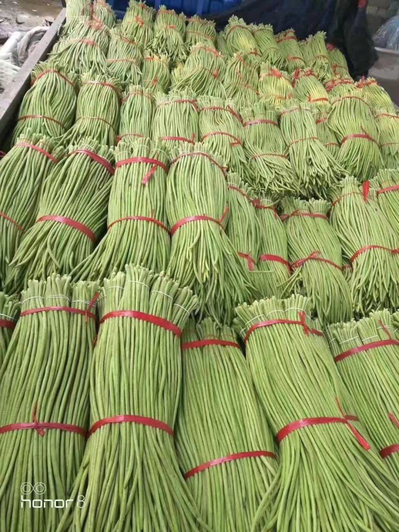 精品长豆角，颜色鲜艳，