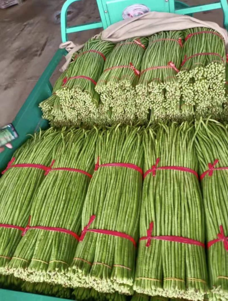 精品长豆角，颜色鲜艳，