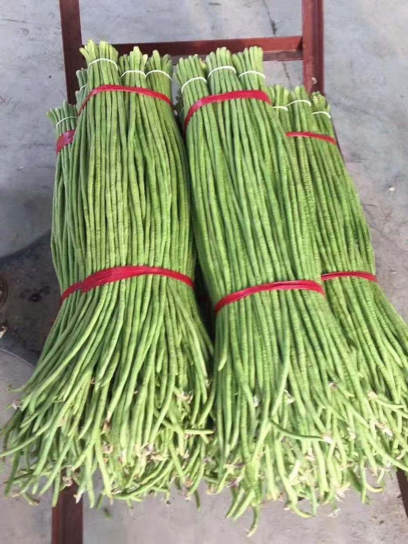 精品长豆角，颜色鲜艳，