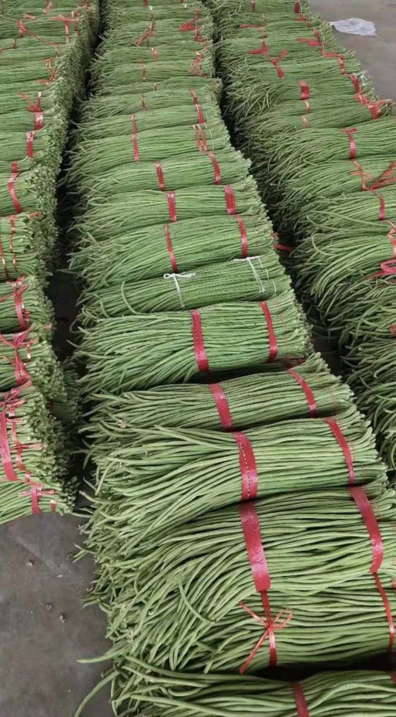精品长豆角，颜色鲜艳，