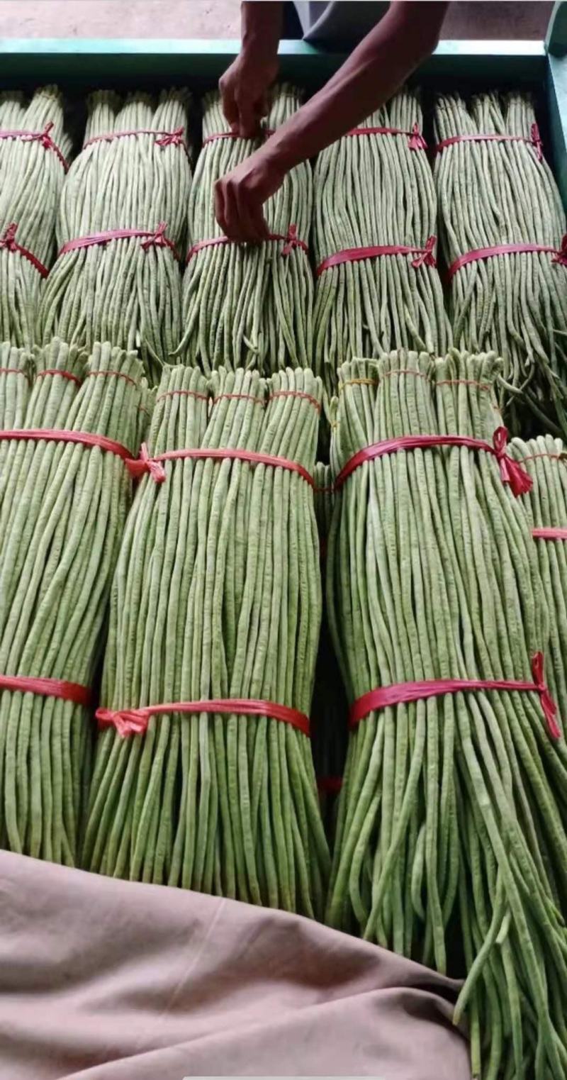 精品长豆角，颜色鲜艳，