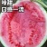 早佳8424西瓜种子欧兰德早佳8424麒麟西瓜超甜大果