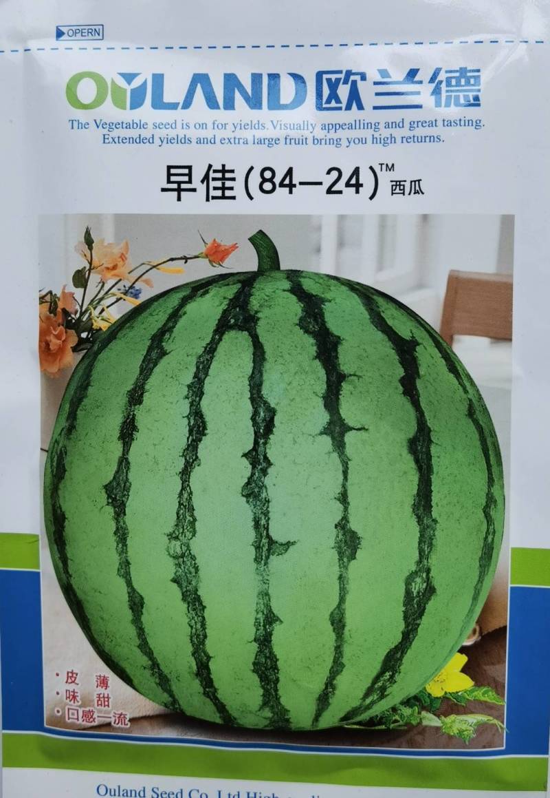 早佳8424西瓜种子欧兰德早佳8424麒麟西瓜超甜大果