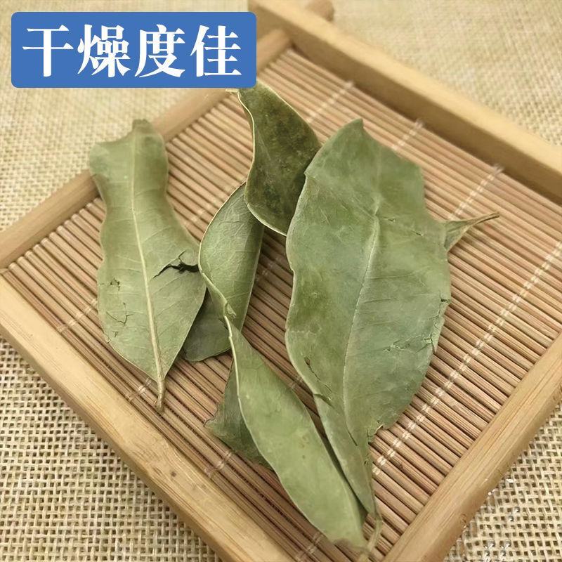 金叶子，干货道地药材，药典标准，产地供货低价直销线上交易