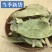 金叶子，干货道地药材，药典标准，产地供货低价直销线上交易