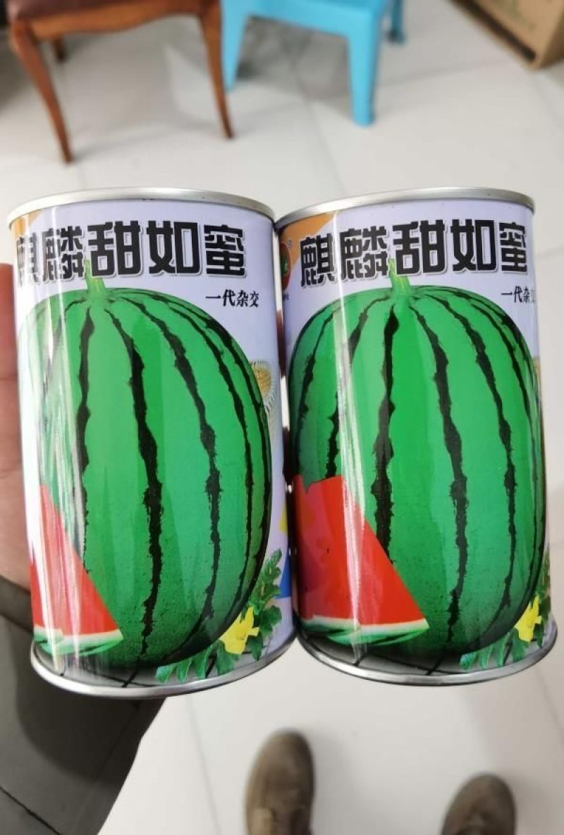麒麟甜如蜜西瓜种子早熟超甜西瓜8424大红瓤耐裂抗病