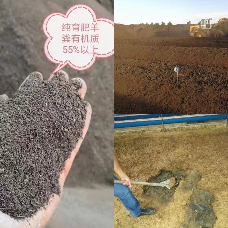 生物菌发酵羊粪有机肥羊粪生物菌剂发酵纯羊粪